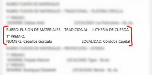 FIRST PRIZE 2022 - NATIONAL SALON OF CREATIVITY AND ARTISAN DESIGN - BERAZATEGUI - Fusion of Materials, Traditional, Lutheria Cuerdas